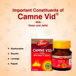 Dabur Camne Vid 25 Tablets